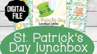 Image for Lunchbox Jokes for St. Patrick's Day