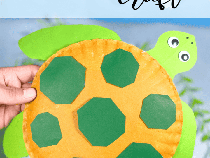 Paper Plate Turtle Craft For Kids Free Printable 500x500