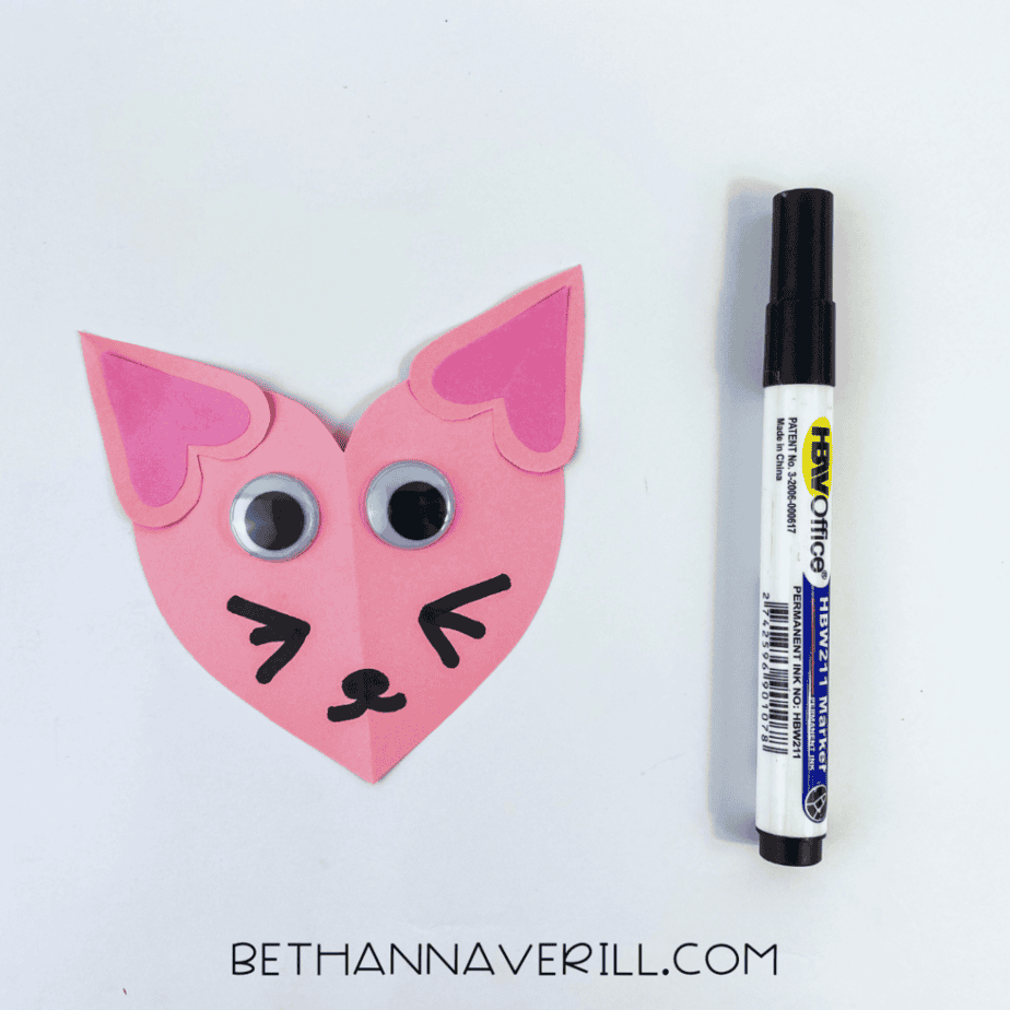 Nose, mouth and whiskers drawn with a black marker