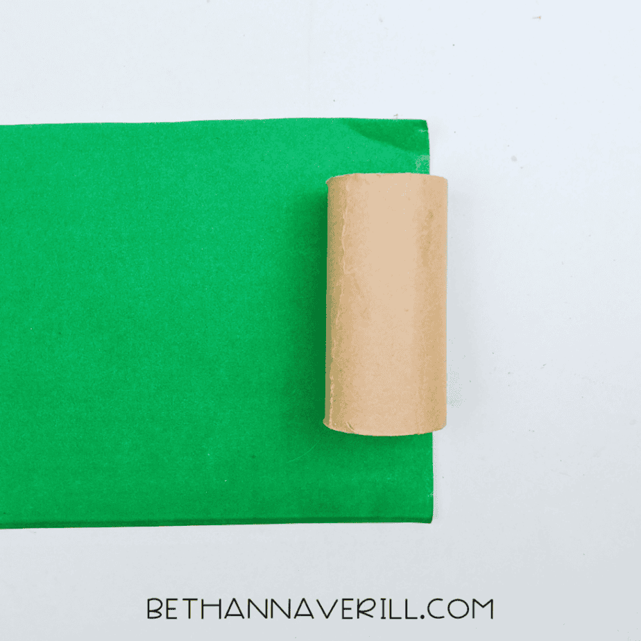 Toilet paper roll on a sheet of green paper