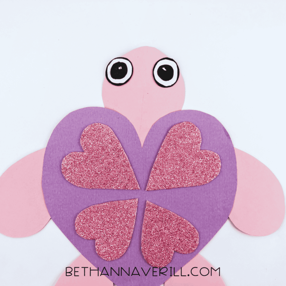 Eyes glued onto the turtle’s head