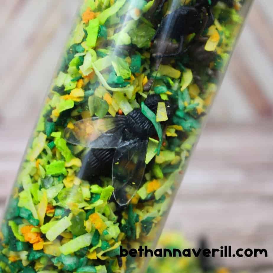 A close-up of a sensory bottle packed with green and yellow coconut flakes, with a large black plastic insect visible inside. The filler mimics grass to hide the bugs.