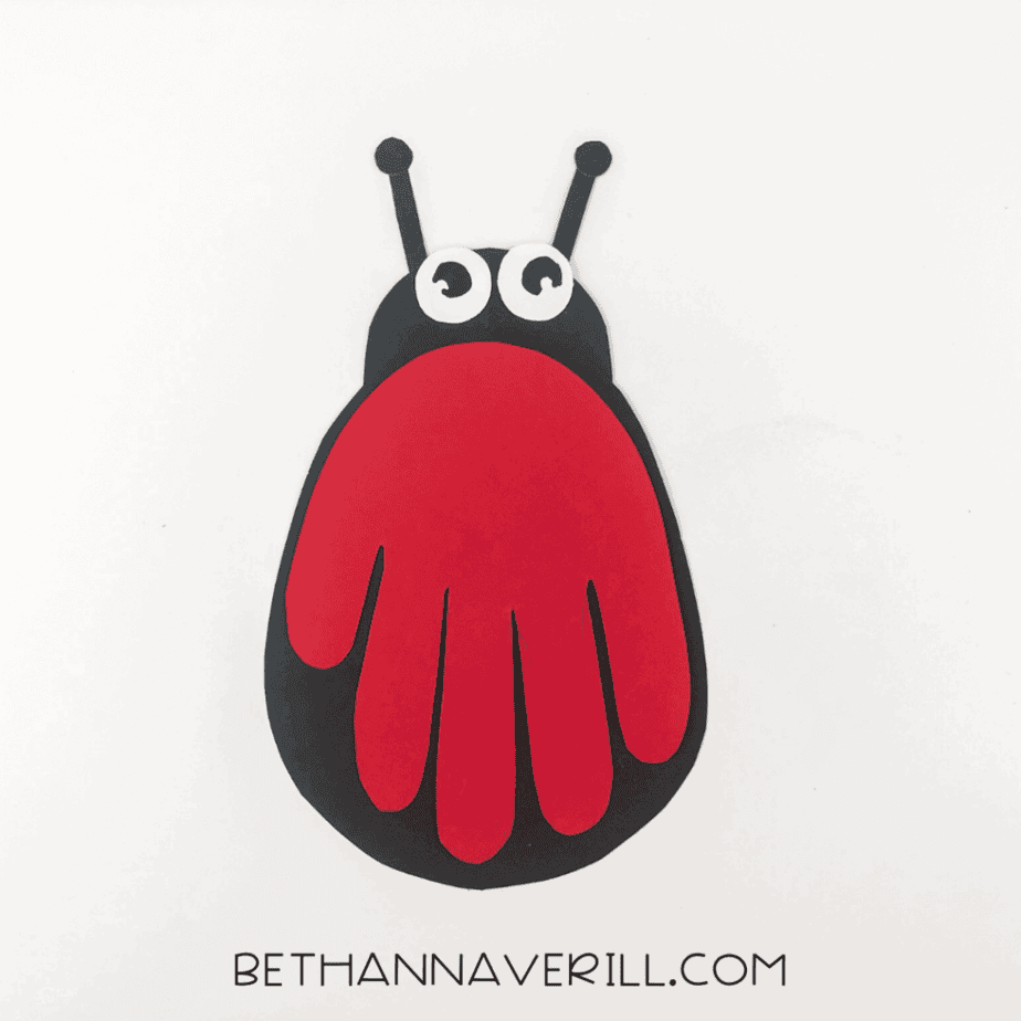 Assembled ladybug with body, wings, and head