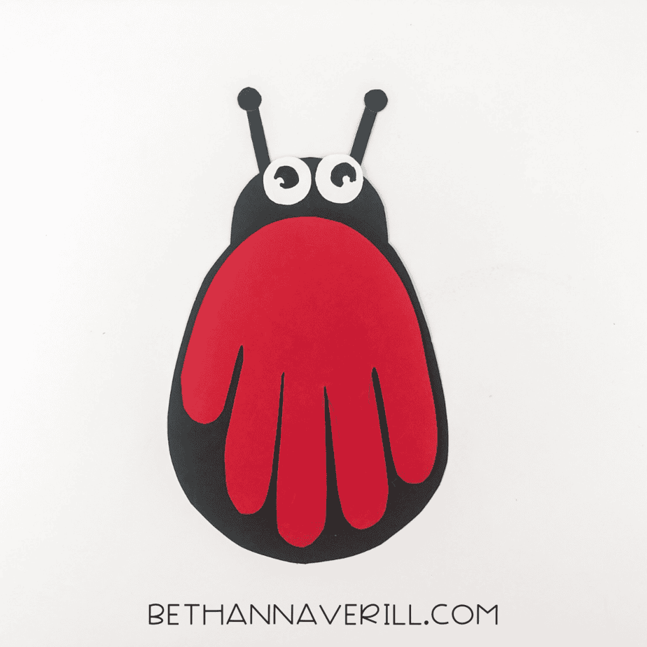 Assembled ladybug with body, wings, and head