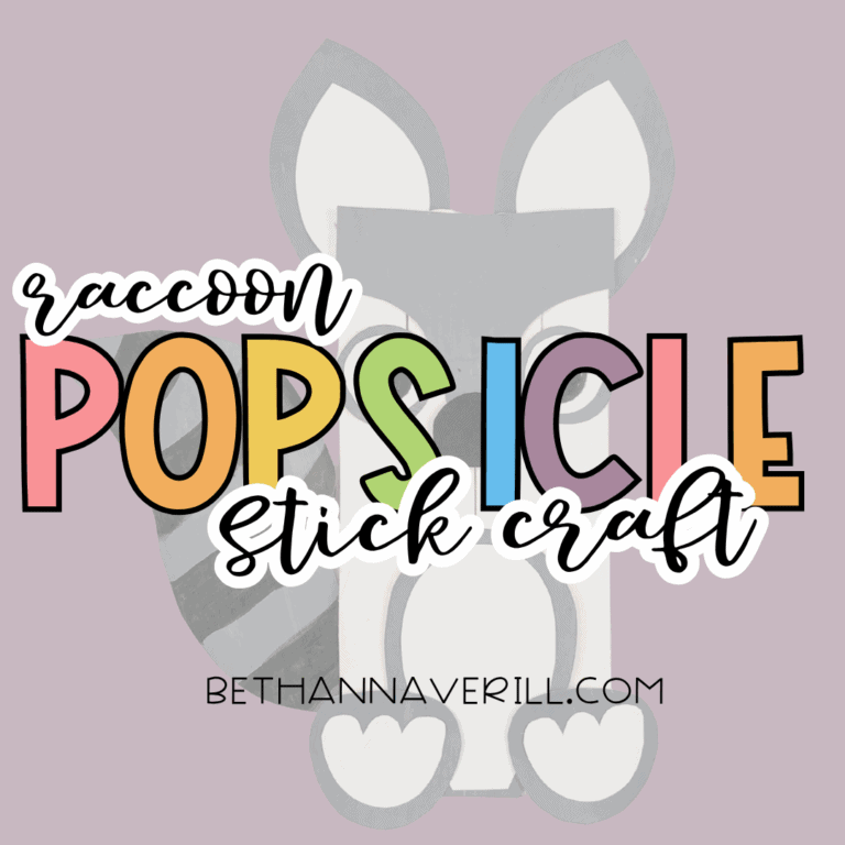 Raccoon Craft Stick Project