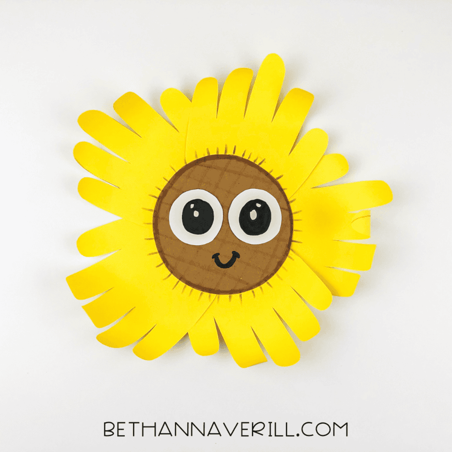 Sunflower face decorated with extra brown details for added texture