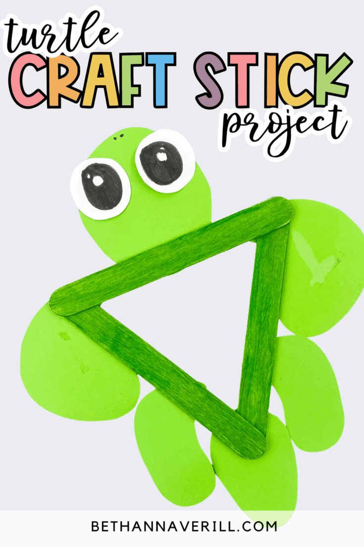 triangle turtle craft