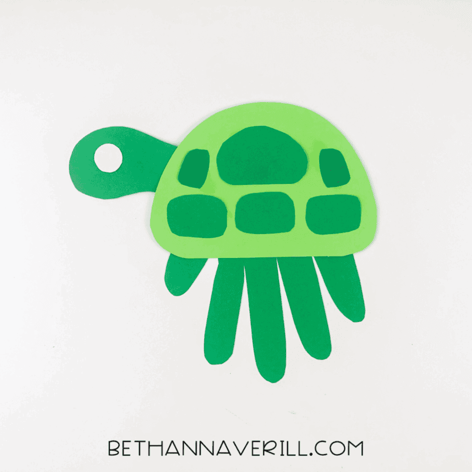 Dark green shell spots arranged on the turtle’s shell.