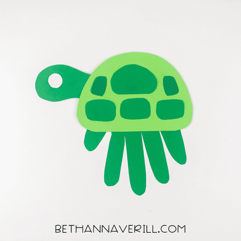 Dark green shell spots arranged on the turtle’s shell.