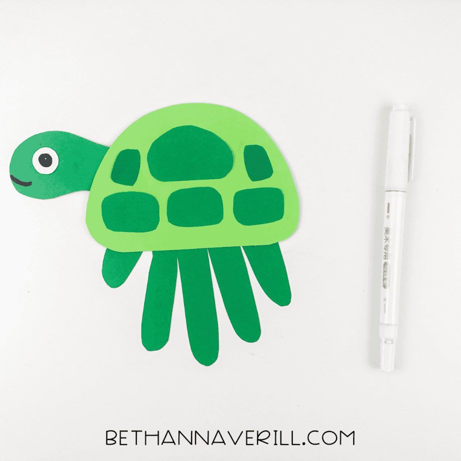 Black marker used to draw a smile and pupil on to turtle