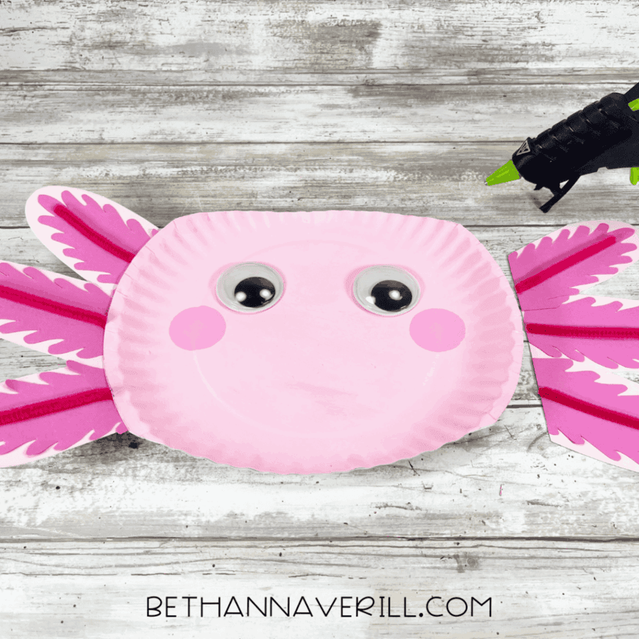 axolotl with gills glued to both sides and face features.