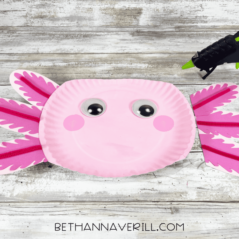 axolotl with gills glued to both sides and face features.
