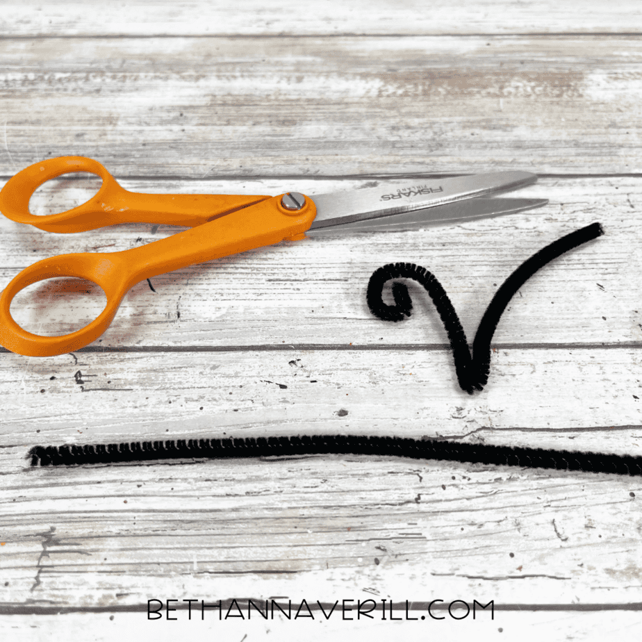 Black pipe cleaner cut and curled for antennae.