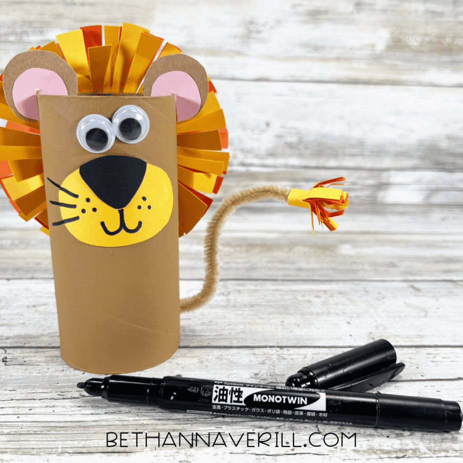 Black marker to draw a face on the lion