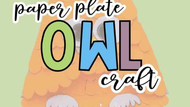 “Paper Plate Owl Craft” is shown on top of an image of an orange owl made from paper plates and craft paper, with a green background. A nature-inspired craft idea for children.