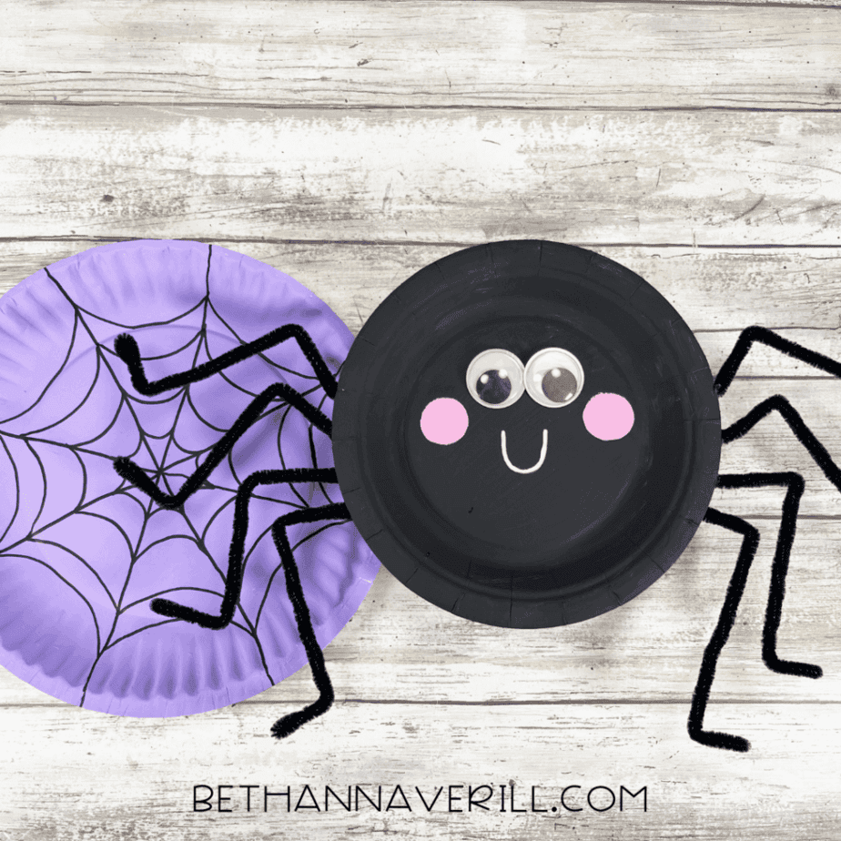 Finished spider and web craft shown together.