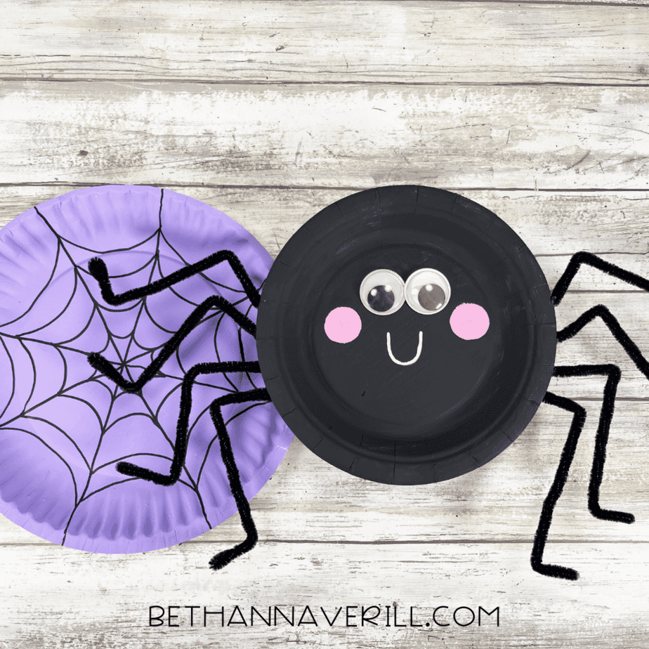 Finished spider and web craft shown together.