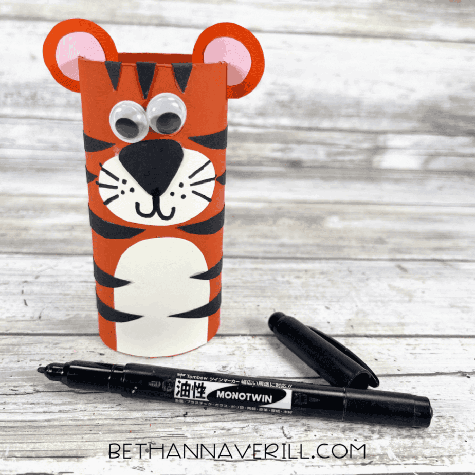 tiger craft with added smile and details drawn with a black marker.