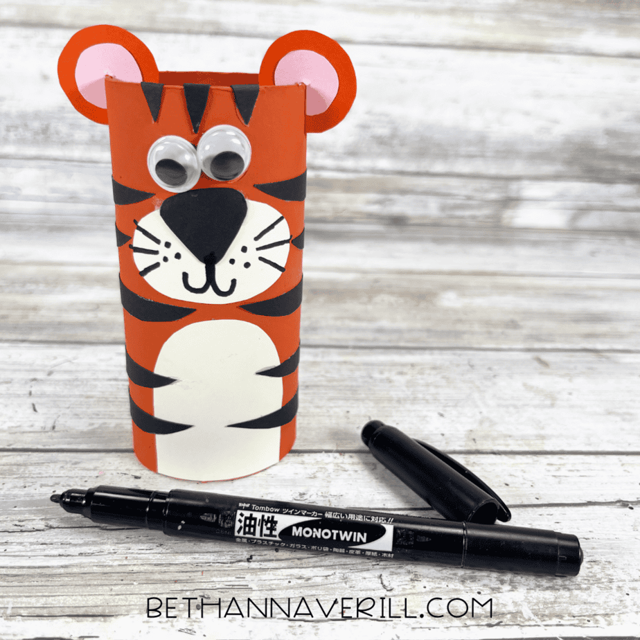 tiger craft with added smile and details drawn with a black marker.