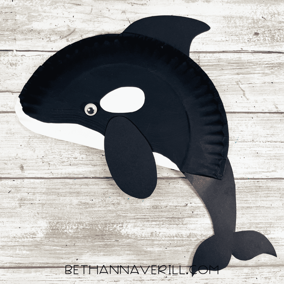 Completed orca paper plate craft showing the black-and-white whale with fins, tail, and googly eye.