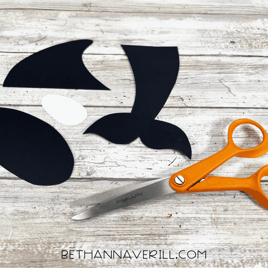 Cut-out orca craft pieces including fins, tail, and belly laid out next to scissors.