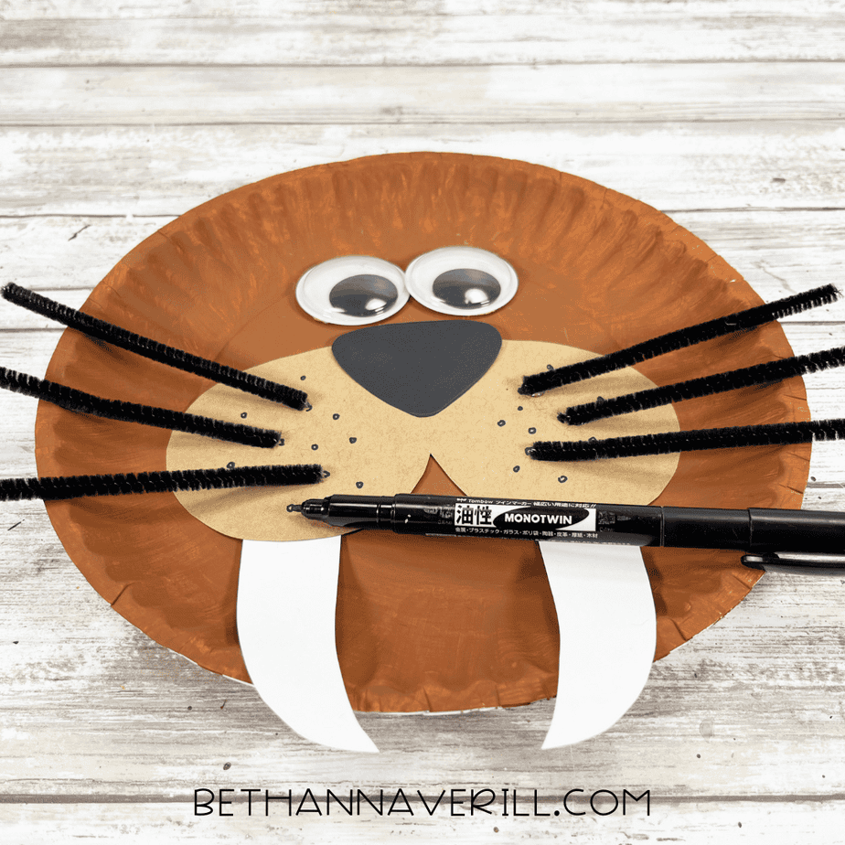 walrus paper plate craft with whiskers attached and dotted whisker marks drawn with a black marker.