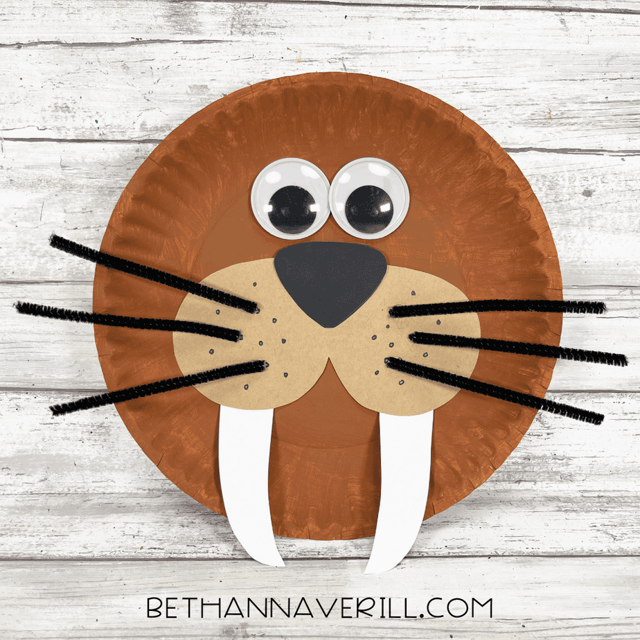 Finished walrus paper plate craft with googly eyes, pipe cleaner whiskers, and long white tusks against a wood background.