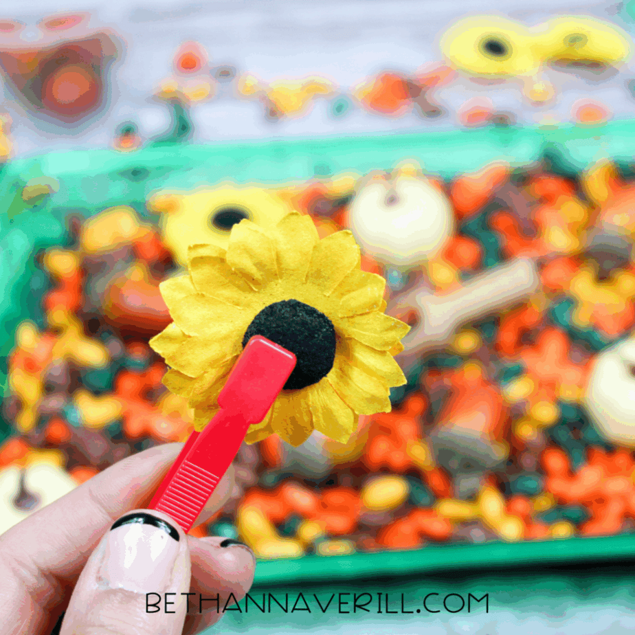 Child holding red tweezers gripping a sunflower decoration above an autumn sensory bin filled with dyed beans.
