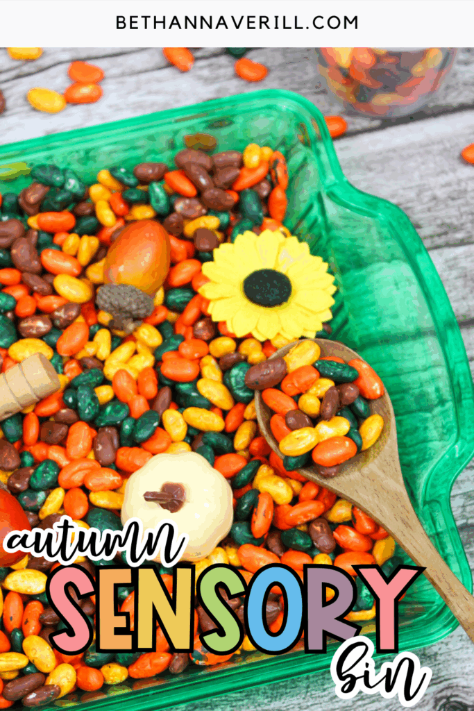 autumn sensory bin pin
