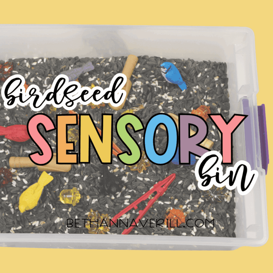 Birdseed sensory bin filled with birdseed, bird figurines, tools, and gems, with text reading “Birdseed Sensory Bin.”