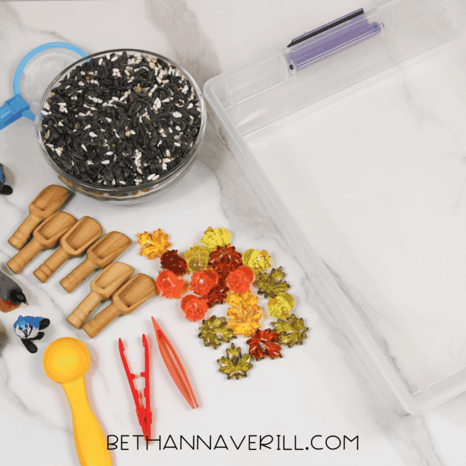 Birdseed sensory bin supplies laid out on a white surface, including a clear plastic bin, mixed birdseed, wooden scoops, plastic tweezers, small bird figurines, and translucent fall-colored gems.