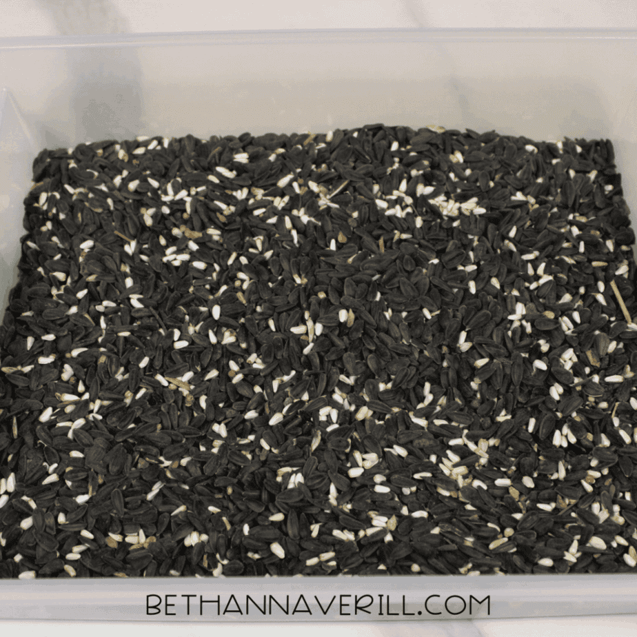 Clear plastic sensory bin filled evenly with mixed black and white birdseed, viewed from above.