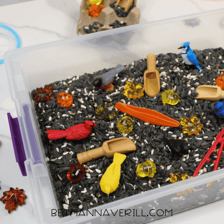Birdseed sensory bin filled with birdseed, small bird figurines, wooden scoops, plastic tweezers, and translucent fall-colored gems.