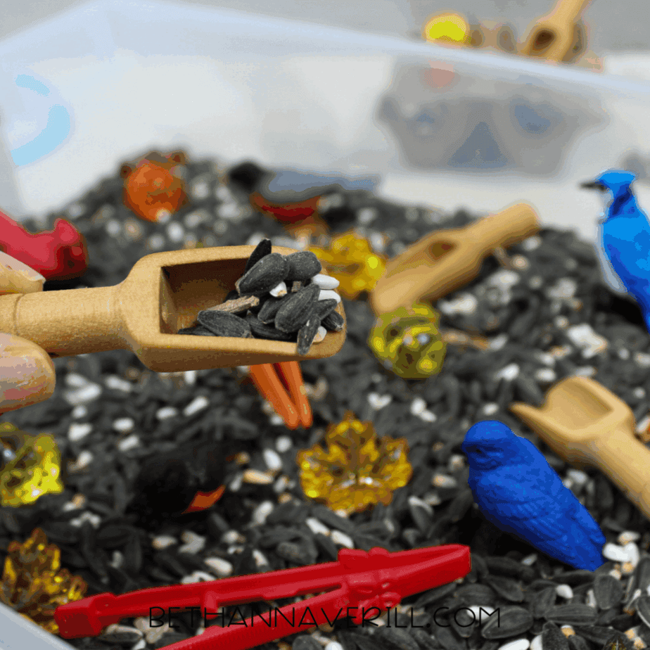 Wooden scoop holding a small amount of mixed birdseed above a birdseed sensory bin with bird figurines and tools.