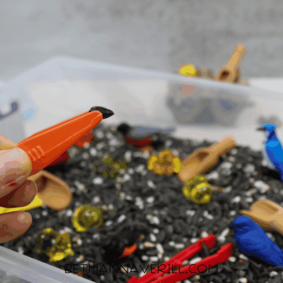 Child’s hand holding orange plastic tweezers gripping a single black seed over a birdseed sensory bin.