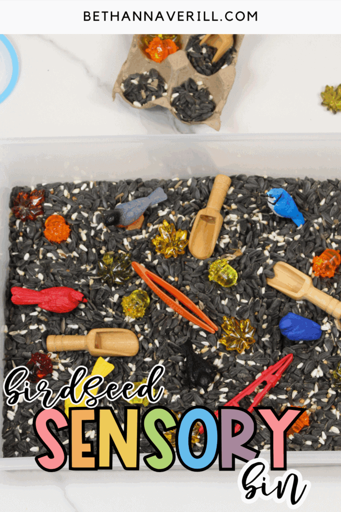 Overhead view of a birdseed sensory bin with bird figurines, wooden scoops, plastic tweezers, and translucent gems, with a cardboard egg carton nearby.