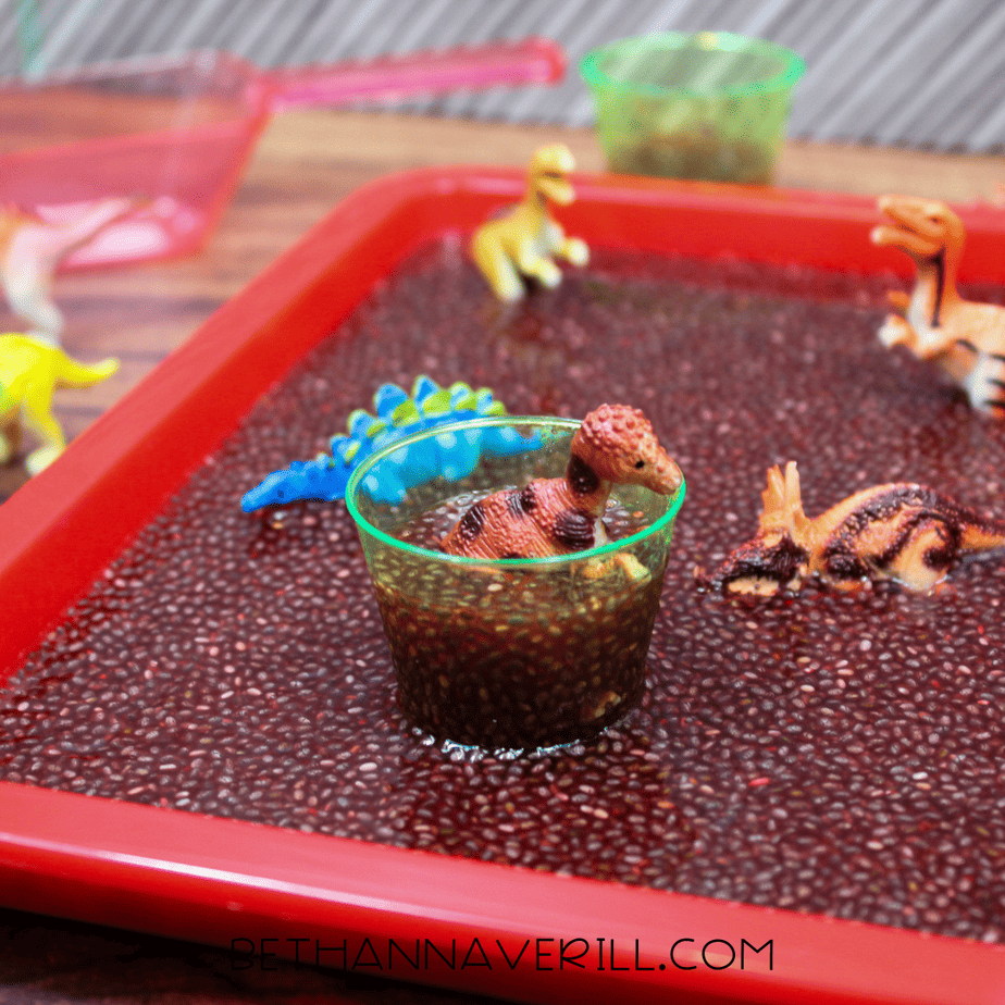 Chia Seed Dinosaur Sensory Bin | Beth Ann Averill