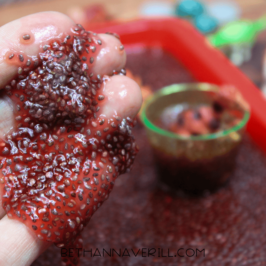 Chia Seed Dinosaur Sensory Bin | Beth Ann Averill