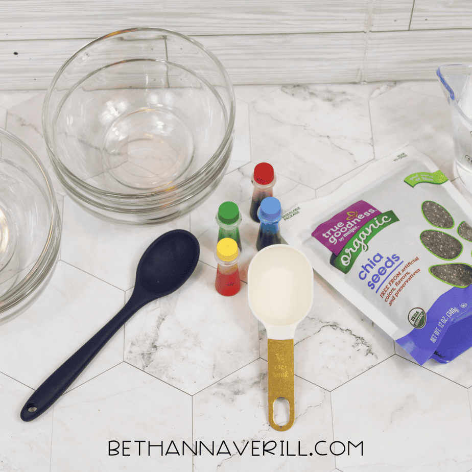 Chia Seed Dinosaur Sensory Bin | Beth Ann Averill