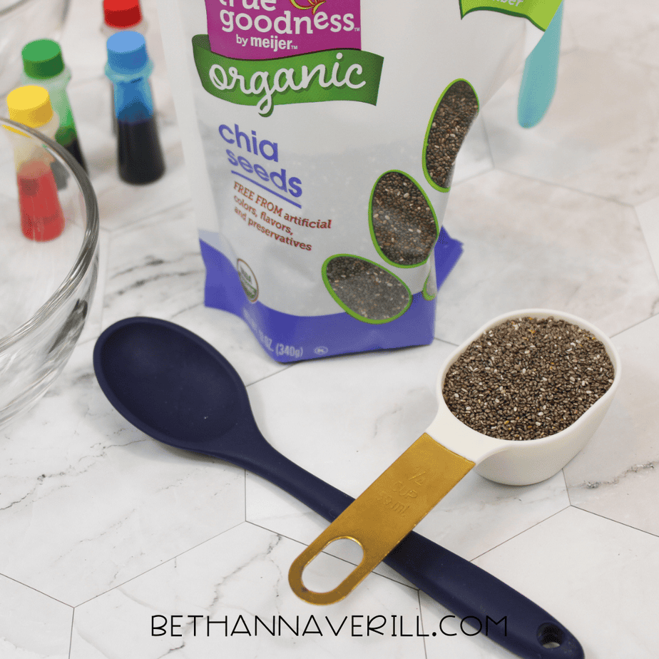 Chia Seed Dinosaur Sensory Bin | Beth Ann Averill