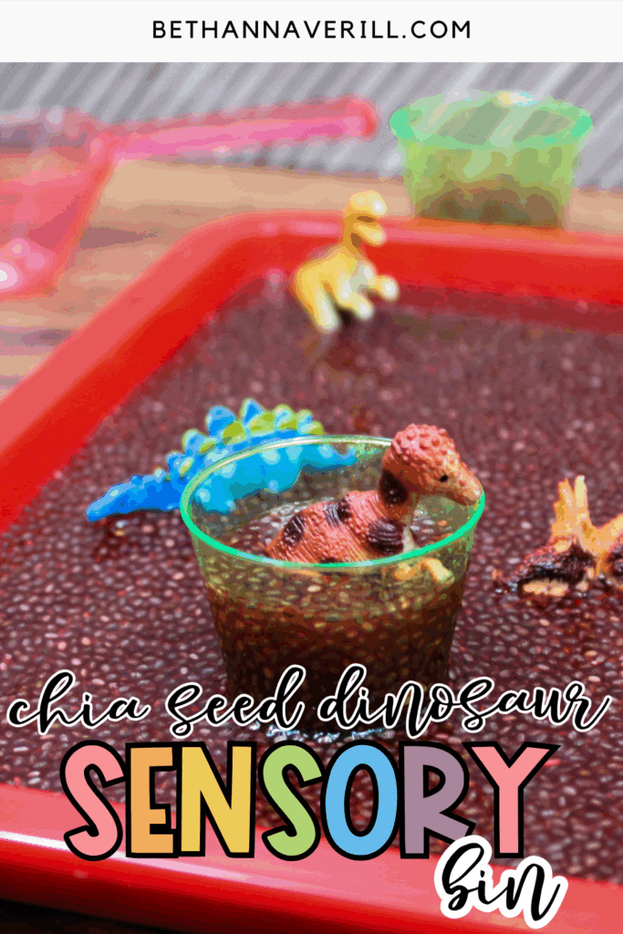 chia seed dinosaur pin