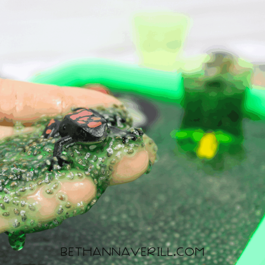 Close-up of a hand holding a plastic frog covered in hydrated chia seeds above a sensory tray.