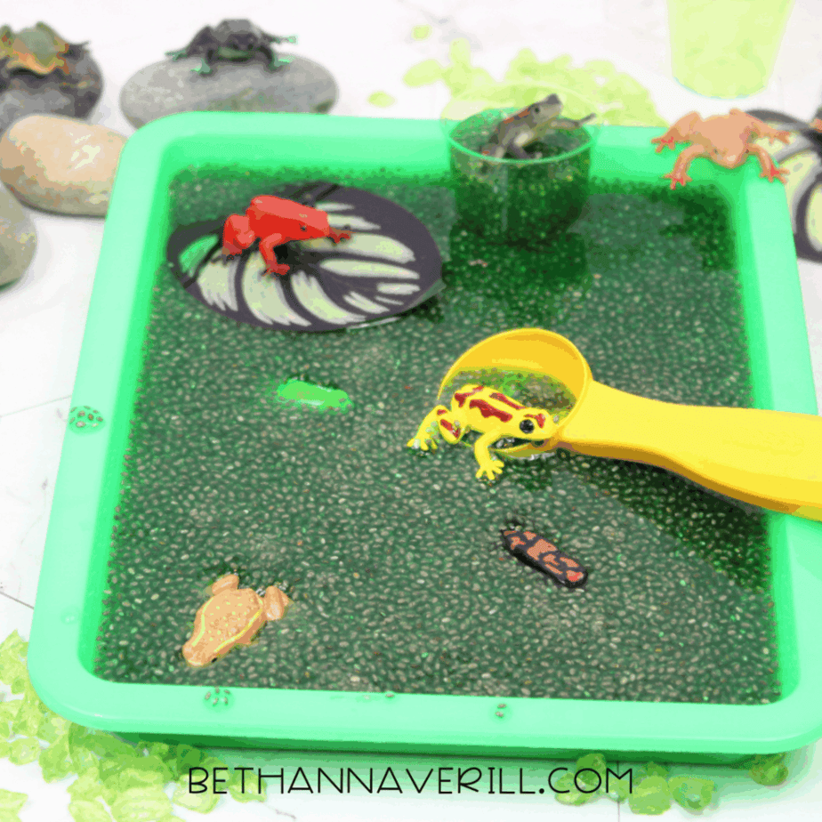 Sensory tray filled with green chia seeds, plastic frogs, scoops, and small cups arranged around the tray.
