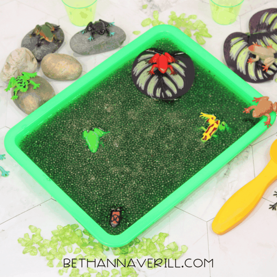 Green sensory tray filled with hydrated chia seeds and plastic frog figures arranged inside.