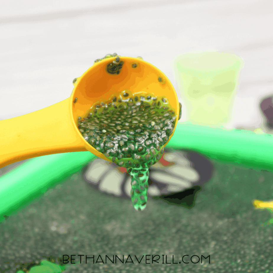 Yellow scoop lifting green hydrated chia seeds from a sensory tray.
