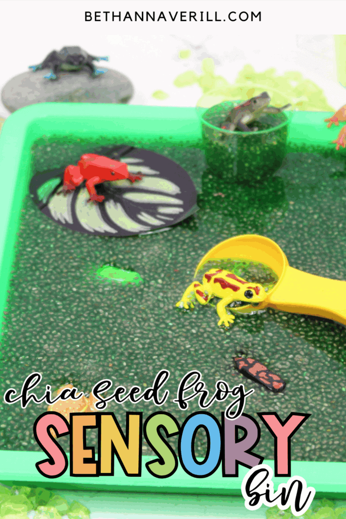 chia seed frog sensory bin pin