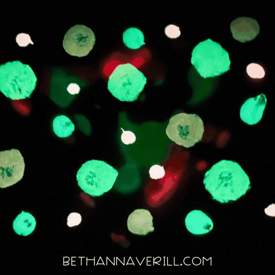 Dots of glow in the dark puffy paint glowing green and white against a dark background.