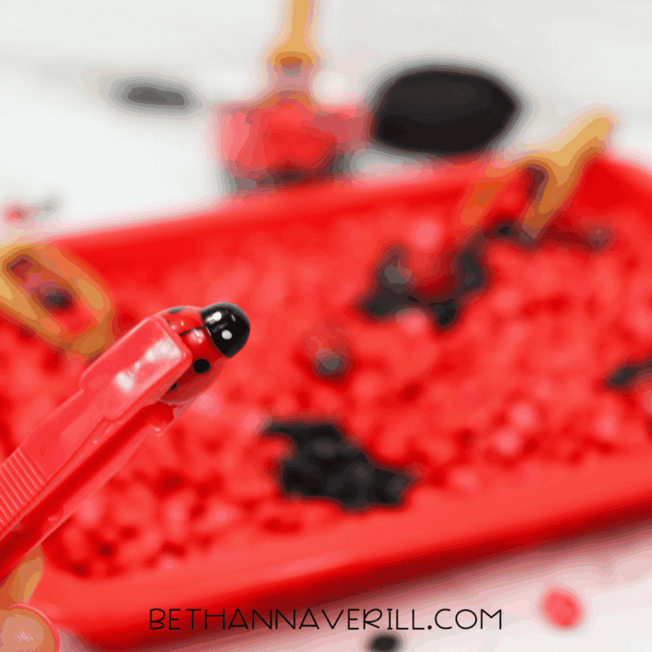 Red plastic tongs holding a ladybug toy above a sensory bin filled with red and black beans.