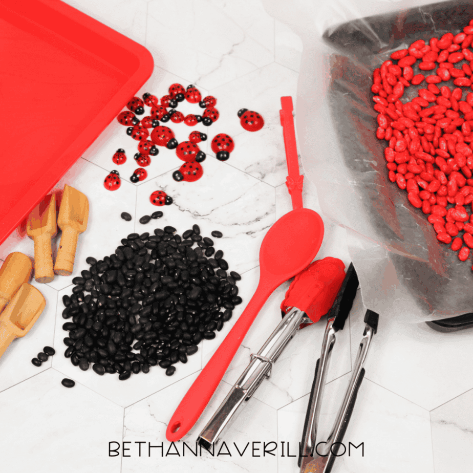 Ladybug sensory bin setup with red painted beans, black beans, scoops, spoons, and ladybug toys in a red tray.
