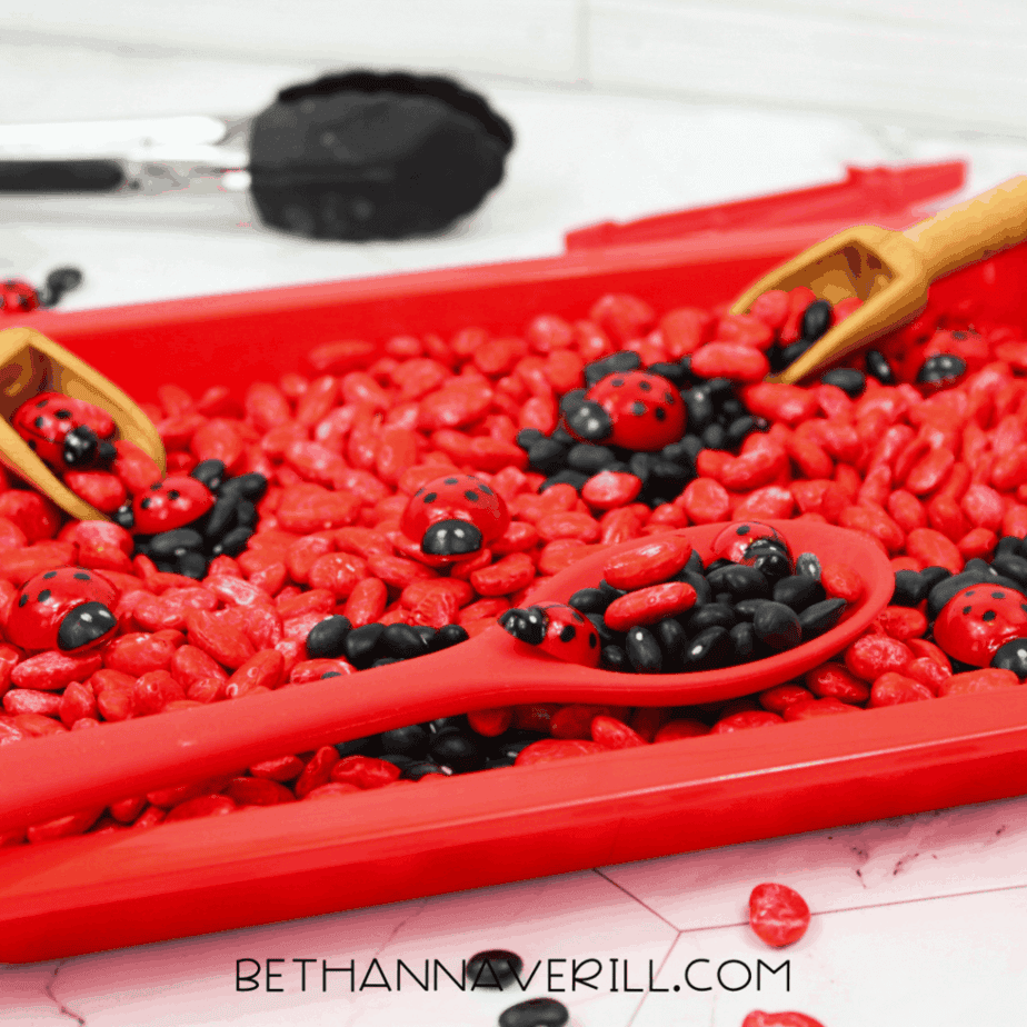 Close-up of scoops and spoons inside a ladybug sensory bin filled with red and black beans.